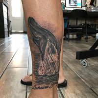 whale tattoo
